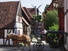 15321_Den Gamle by. Aarhus_Kim Wyon