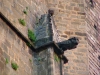 Barcellona-Foto-TiDPress(119)