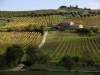 ZammarchiElio_2_Riflessi d'autunno
