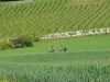 Ile-de-Saint-Pierre-TiDPress(1)