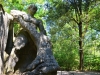 Bomarzo-Paolo-Gianfelici (2)