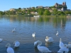 Breisach,  Fiume Reno