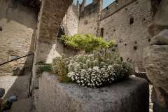 CastelBeseno-9