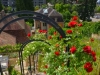 Bienne-Paolo-Gianfelici (25)