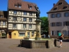 Colmar-Elvira-Dippoliti-TiDPress (1)