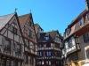 Colmar-Elvira-Dippoliti-TiDPress (2)