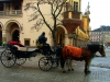 Cracovia-Foto-TiDPress (1)