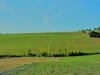 1-Campi di guado