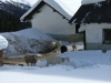 Alta-Val-Pusteria-Foto-TidPress (3)