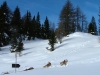Alta-Val-Pusteria-Foto-TidPress (5)