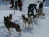 Alta-Val-Pusteria-Foto-TidPress (6)