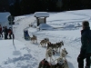 Alta-Val-Pusteria-Foto-TidPress (7)