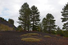 Etna-Foto-Paolo-Gianfelici-16