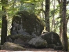 Faggeta-Monte-Cimino-Paolo-Gianfelici (10)
