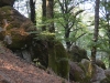 Faggeta-Monte-Cimino-Paolo-Gianfelici (9)