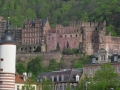 heidelberg-neckar-foto-tidpress-22