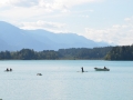 tidpress-faakersee-dertschebull-7