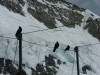 Jungfraubahn-Foto-TiDPress (26)