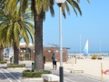 riviera-delle-palme-41