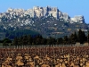 Blick auf die Alpilles