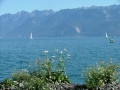 cantone-vaud-foto-paolo-gianfelici-11