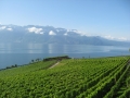 cantone-vaud-foto-paolo-gianfelici-2