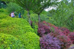 Orto Botanico di Roma