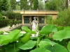 JARDIN SERRE DE LA MADONE (2)