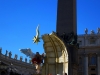 Natale-2017-SanPietro-Claudia-Giordano (10)