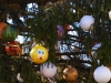 Natale-2017-SanPietro-Claudia-Giordano (8)