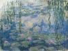 Waterlilies, 1916-19