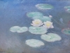 Waterlilies, Evening