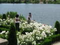 bucarest-parchi-foto-tidpress-10