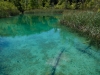 Plitvice-Valerio-Magini-TiDPress (1)