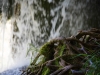 Plitvice-Valerio-Magini-TiDPress (17)