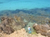 Hyeres-Porquerolles (394)