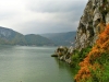 Foliage-Romania-Danubio-TiDPress (6)