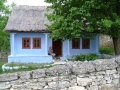 butuceni-foto-tidpress-1