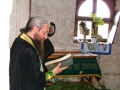 orheivechi-foto-tidpress-1
