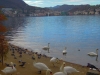 Lugano-TiDPress (6)