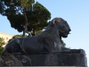 Roma-Zoo-di-Pietra-Paolo-Gianfelici (22)
