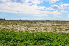 Riserva Naturale Marcigliana