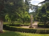 Roma-Villa-Farnesina-TiDPress (8)