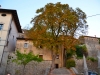 San-Daniele-Carso-Foto-TiDpress (21)