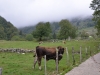 Sentiero-Pace-Slovenia (10)