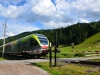 Ciclabile-Drava-Foto-Paolo-Gianfelici (17)