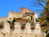 Soave-Paolo-Gianfelici (2)