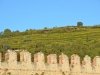 Soave-Paolo-Gianfelici (22)