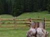Val-di-Fiemme-Paolo-Gianfelici (3)