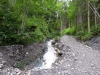 Salisburghese-Foto-Elvira-Dippoliti (4)